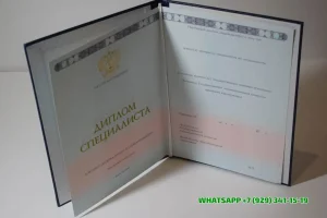 Купить диплом в Можайске Братского Филиала БГУЭП — Братского Филиала Байкальского государственного университета экономики и права